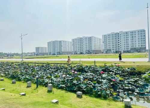 a large pile of flowers in a cemetery at WARM House Cần Thơ in Can Tho