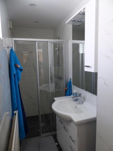 Koupelna v ubytování 2-Personen Appartement