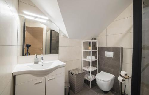 a bathroom with a sink and a toilet at Villa Old Hills by Villas Guide in Ljubešćica