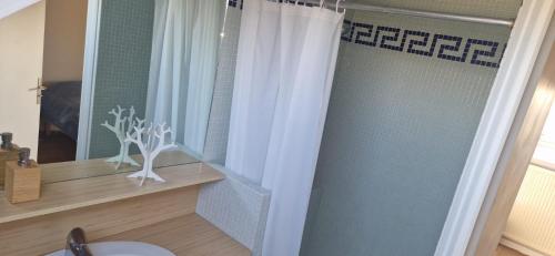 La salle de bains est pourvue d'une douche avec rideau de douche blanc. dans l'établissement Maison de charme en Bretagne 5 ou 10 personnes, à Châteaugiron