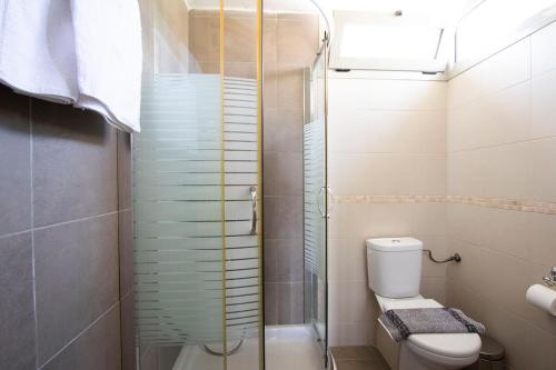 a bathroom with a toilet and a glass shower at MD Pool Villa in Chroussos by Halkidiki Villas in Paliouri