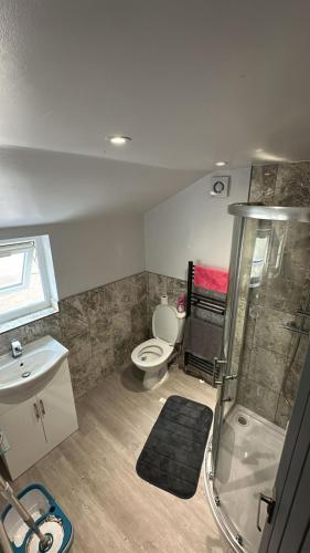 a bathroom with a toilet and a shower and a sink at Abena' Villa in Moffat