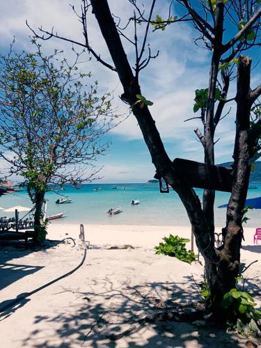 Gallery image of Symphony Village, Long Beach Perhentian Islands in Perhentian Island