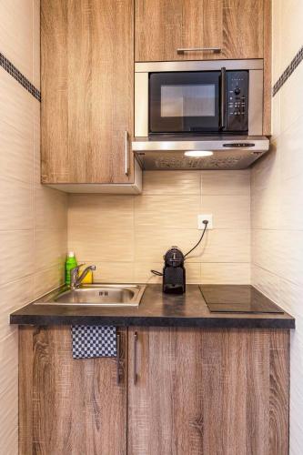 Dapur atau dapur kecil di Residence - Cityzen - Geneve