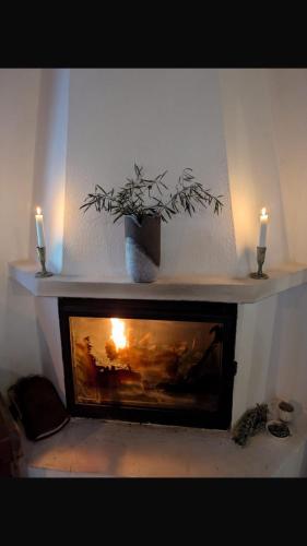 a fireplace with a potted plant and two candles at Villa Batsheva in Roumelí