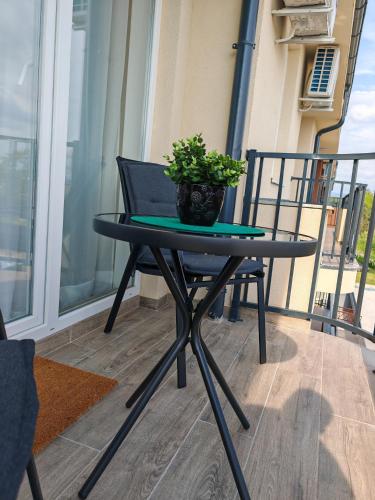 a table and chair on a balcony with a potted plant at Zenith in Veliko Gradište