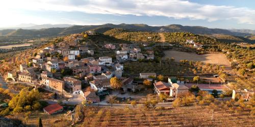 an aerial view of a small town on a hill at Casa rural La Siasa in Hoz de Barbastro