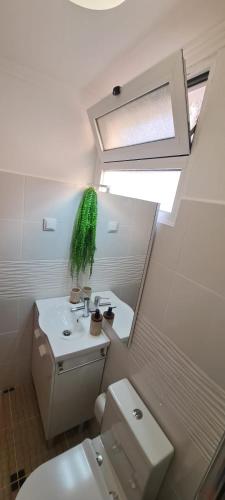a bathroom with a toilet and a sink and a skylight at Cozy Studio - Chalé Seixal in Seixal