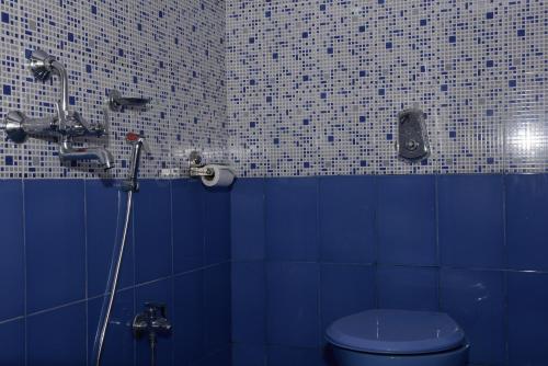 卡維洛辛的住宿－河流城堡度假屋，浴室配有蓝色卫生间和淋浴。