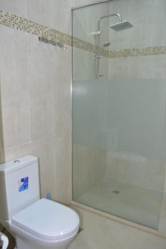a bathroom with a shower and a toilet and a glass shower door at Arena Hotel Yardimli in Kabakhdibi