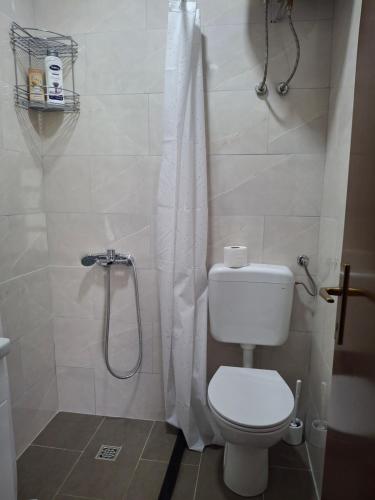 a bathroom with a toilet and a shower at Zavičajna kuća Šakota - Kozice in Stolac