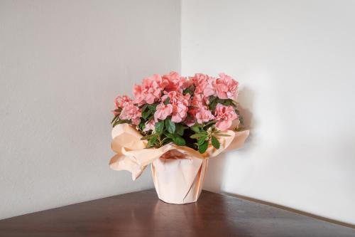a vase filled with pink flowers sitting on a table at Universal Harmony - Balestruccio in Dicomano
