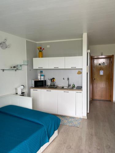 Η κουζίνα ή μικρή κουζίνα στο Panoramic Garda Apartment