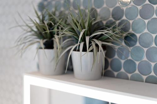 three plants in white pots sitting on a shelf at Ferienwohnung Sämann in Oberkirch