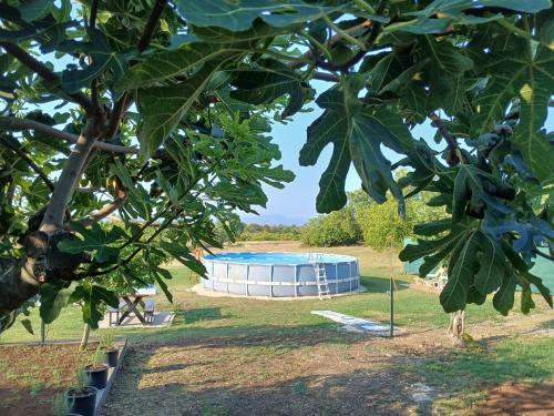 a pool in the middle of a field with trees at Zavičajna kuća Šakota - Kozice in Stolac