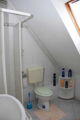 a bathroom with a toilet and a shower at Iso Apartman Siófok in Siófok
