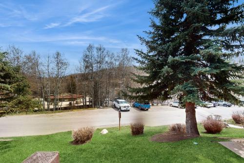 a car parked in a parking lot next to a tree at Après Ski Hideaway, Unit 30A in Snowmass