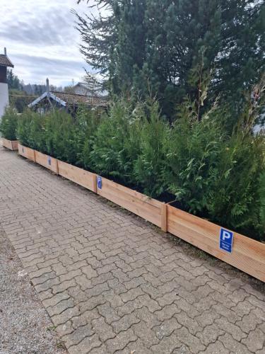 a row of plants in a wooden planter at Hochwald chalet in Bad Sachsa
