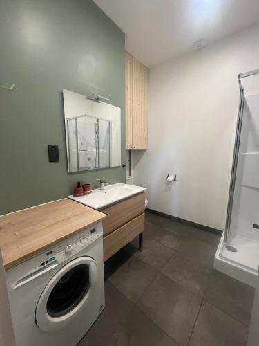 une salle de bain avec une machine à laver et un lavabo dans l'établissement Appartement de Ville, à Tarbes