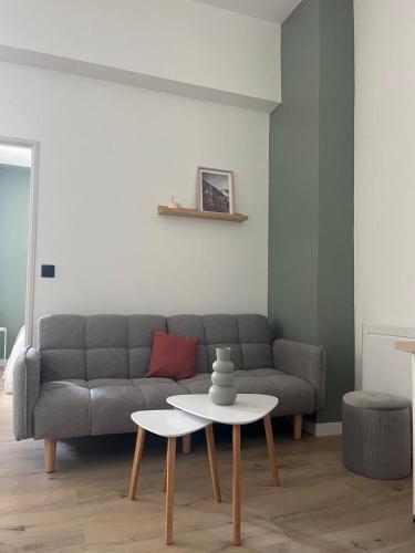 un salon avec un canapé et une table dans l'établissement Appartement de Ville, à Tarbes