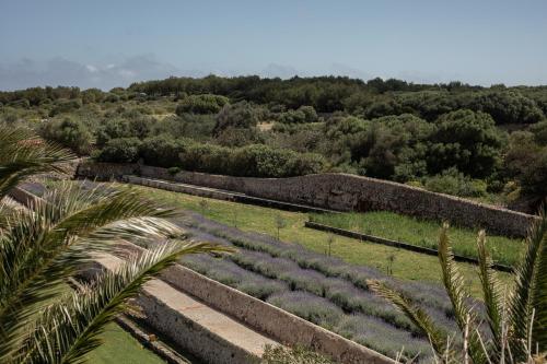 a view of a field of crops at Binissaida Boutique Hotel in Es Castell
