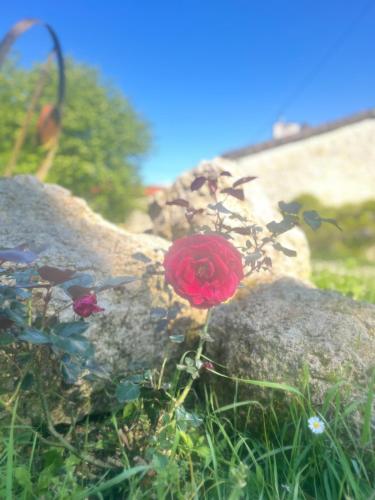 Galeriebild der Unterkunft Le Merlat Gite in Beaucaire