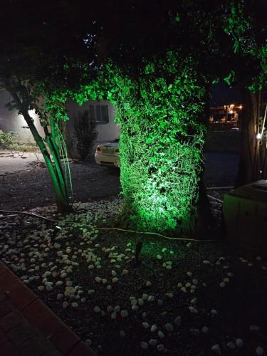 Taman di luar Moonlit River Retreat
