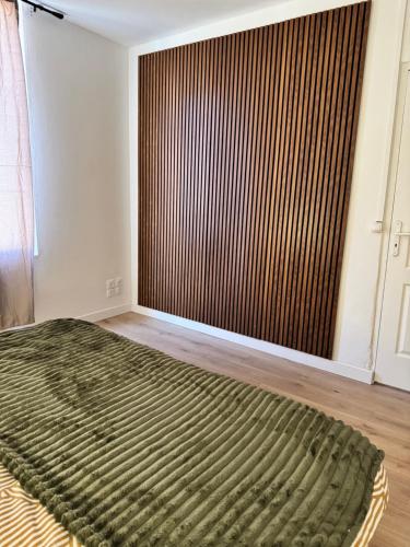 une pièce avec un grand tapis vert devant un grand radiateur dans l'établissement Charmant F3 au Cœur du Havre, au Havre