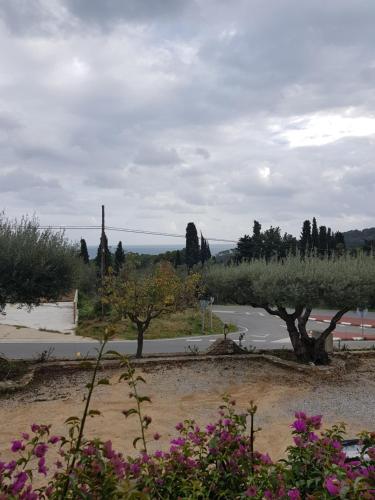 a view of a road with trees and flowers at Hotel Nuevo Ondina in Begur