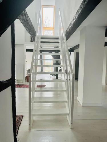 Φωτογραφία από το άλμπουμ του Panorama-Loft Fehmarn mit Meerblick σε Fehmarn