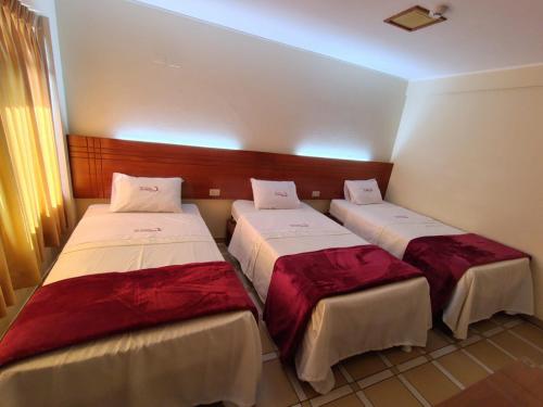 Postel nebo postele na pokoji v ubytování Hotel Los Arcos de Imperial