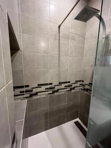une douche avec une porte vitrée dans une salle de bain dans l'établissement Joli duplex en plein cœur du centre ville, à Villefranche-sur-Saône