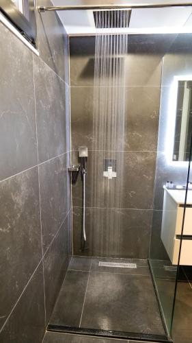 a bathroom with a shower with a sink and a shower at 313 Villa in Tirana