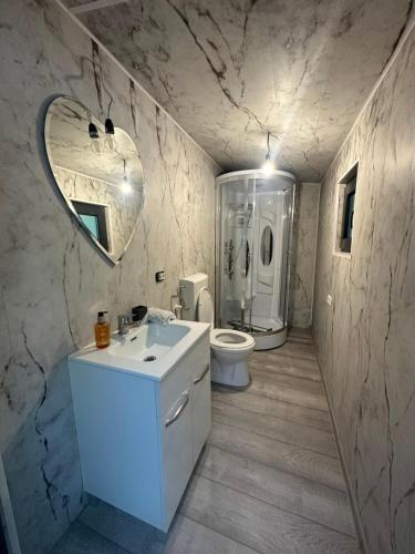 a bathroom with a sink and a toilet and a mirror at Căsuța de la munte in Rîşca