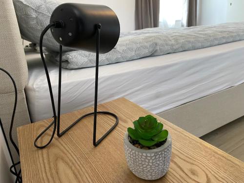 Letto o letti in una camera di Apartmaji Sofija&Ana