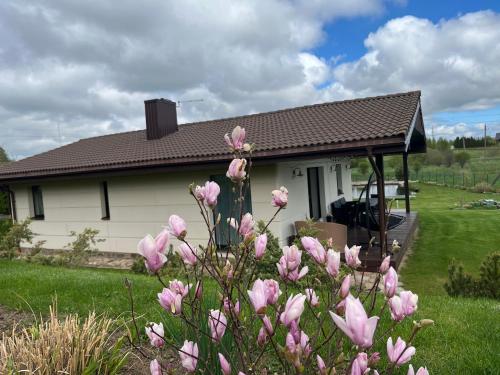 a house with pink flowers in front of it at Vila Trakai in Trakai
