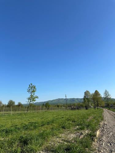 Afbeelding uit fotogalerij van Căsuța de la munte in Rîşca