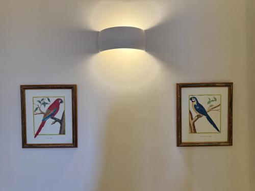 two framed pictures of birds on a wall at Walcot Yard with parking, Bath Keys in Bath