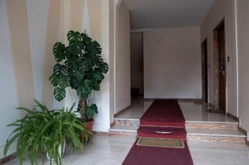 a hallway with two potted plants in a building at Casa di Pier&Chico in Genova