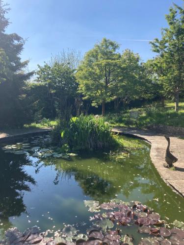 Gallery image of Yellowstone, The Garden Apartment in Radstock
