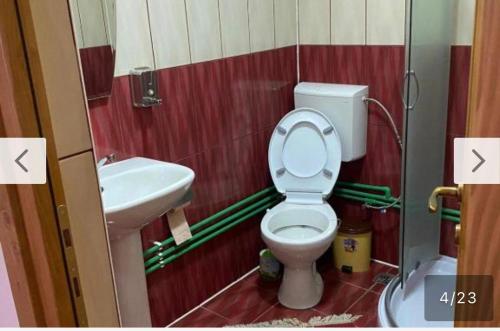 a bathroom with a toilet and a sink at Camere de închiriat Floarea Reginei in Vişeu de Sus