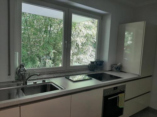 Kuchyň nebo kuchyňský kout v ubytování Ferienwohnung am Brasselsberg