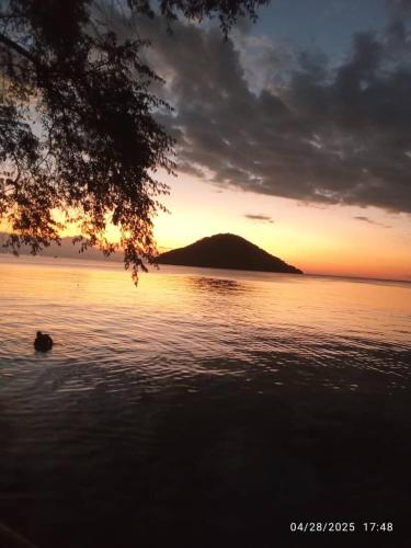 a duck swimming in the water at sunset at Quest at Cape Maclear in Chembe