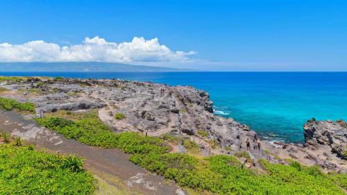 a group of people standing on a cliff near the ocean at Kapalua Bay Villa 30B2 in Kapalua