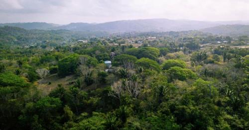 an aerial view of a forest with mountains in the background at Private 2 Bdrm Home On 46 Acres Along Macal River in Duffy Bank