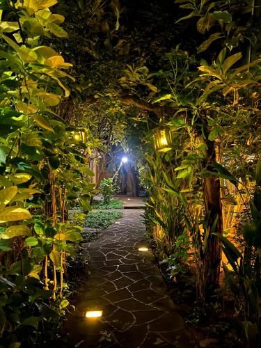 a garden with a pathway at night with lights at Beach View in Arugam Bay