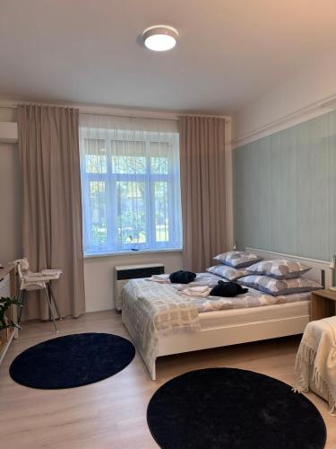 a bedroom with a large bed and a window at Drop House - One bedroom in Budapest