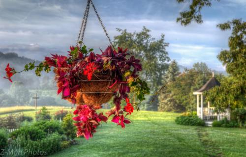 Κήπος έξω από το Blue Mountain Mist Country Inn