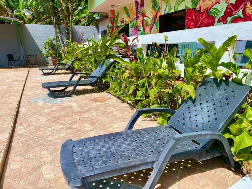 a row of blue benches sitting next to plants at Hostería "El Paraíso" in Montañita