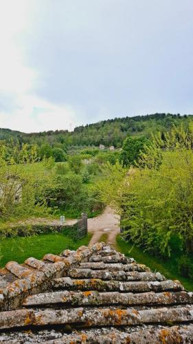 a stone walkway leading down a path through a field at Agriturismo La Taverna in Sovicille